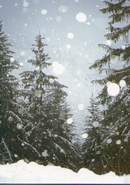 Photo taken at Val d' Isere coming down from the gig...(true!)